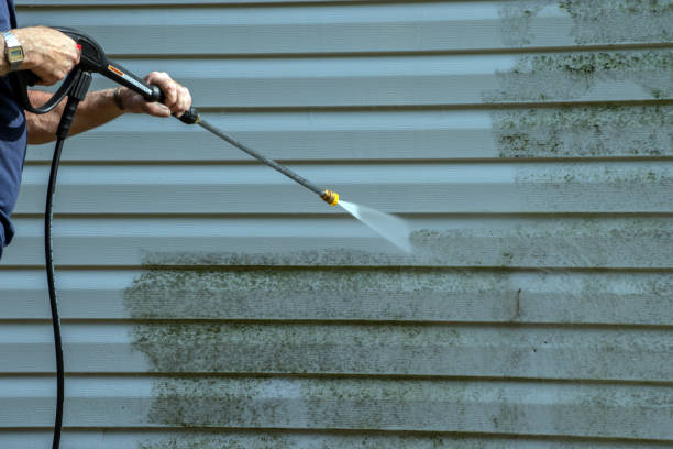 Pre-Holiday Cleaning in Lewisville, WA